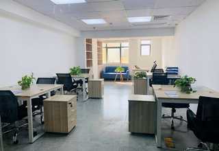 崇明区专业提升输送机批发价