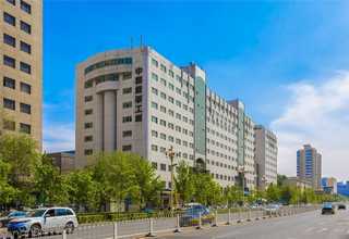 南京鼓楼区观赏绿植租赁价格