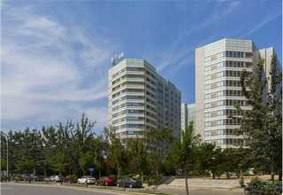 山东榴莲水果瑕疵分级筛选机批量定制